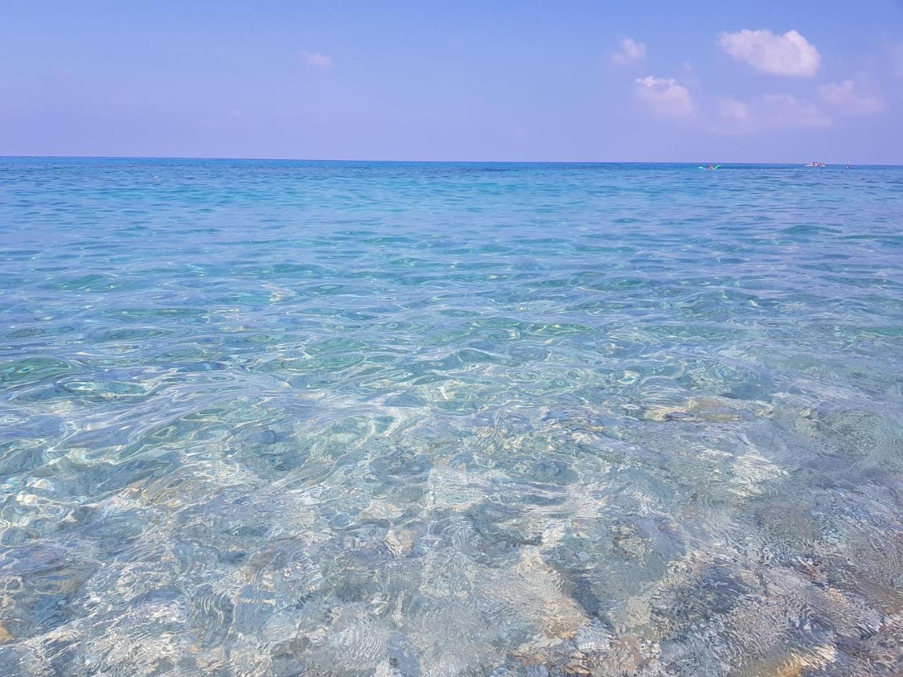 San Carlo - Terrazzo Sul Mare Con Ristorante E Pizzeria Bed and Breakfast Zambrone Εξωτερικό φωτογραφία