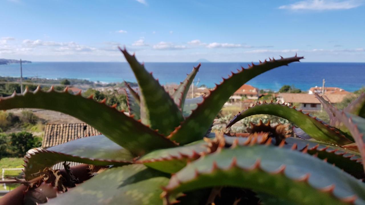 San Carlo - Terrazzo Sul Mare Con Ristorante E Pizzeria Bed and Breakfast Zambrone Εξωτερικό φωτογραφία